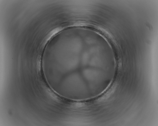 X0000114421409200910161218