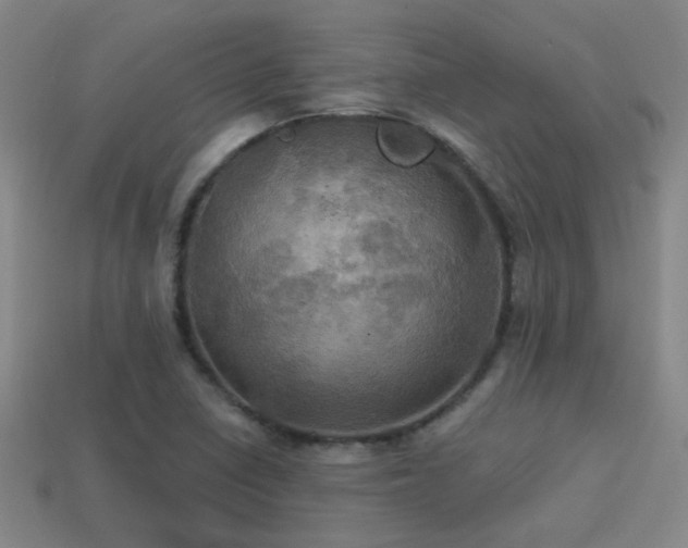 X0000114421410200910161218