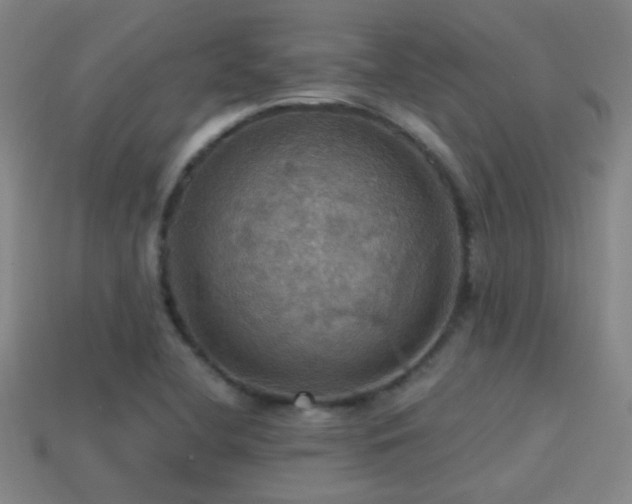 X0000114421412200910161218