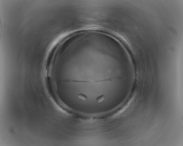 X0000114421414200910161218