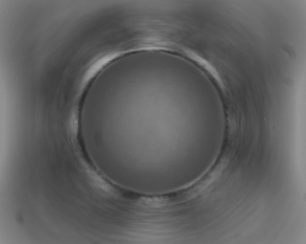 X0000114421415200910161218