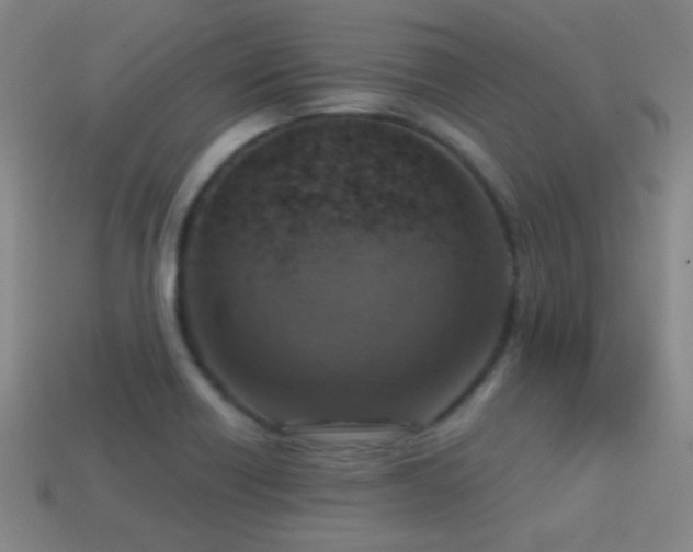 X0000114421418200910161218