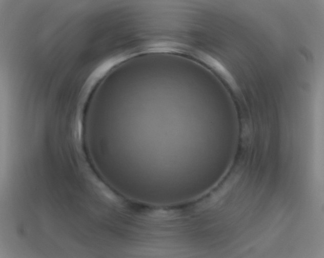 X0000114421419200910161218