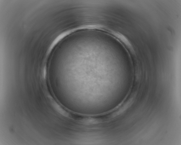 X0000114421420200910161218