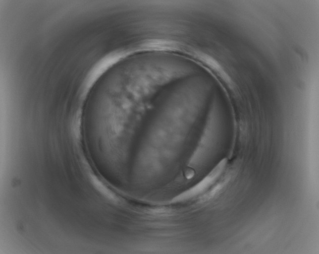 X0000114421421200910161218