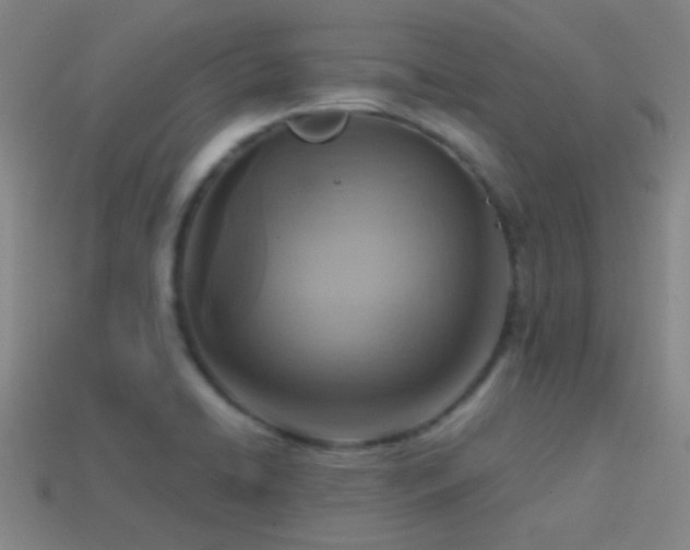 X0000114421422200910161218