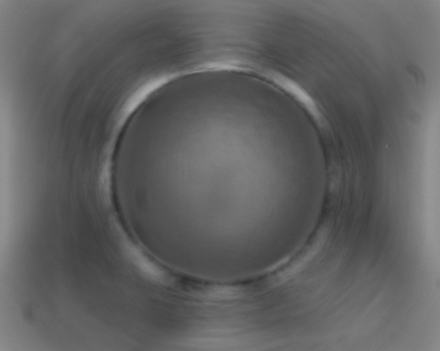 X0000114421423200910161218