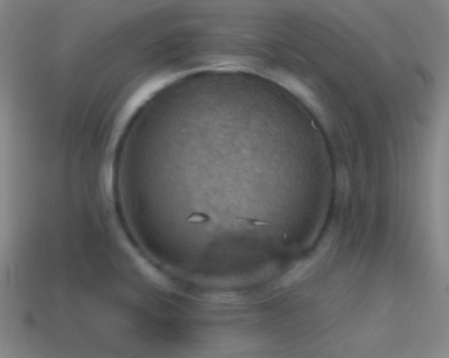 X0000114421424200910161218
