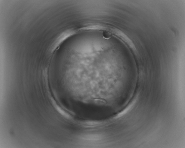X0000114421425200910161218