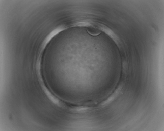 X0000114421426200910161218