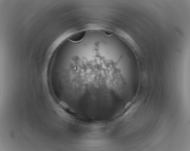 X0000114421427200910161218