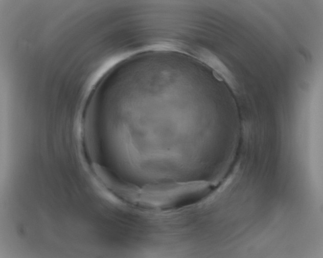 X0000114421428200910161218