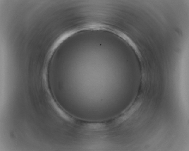 X0000114421429200910161218