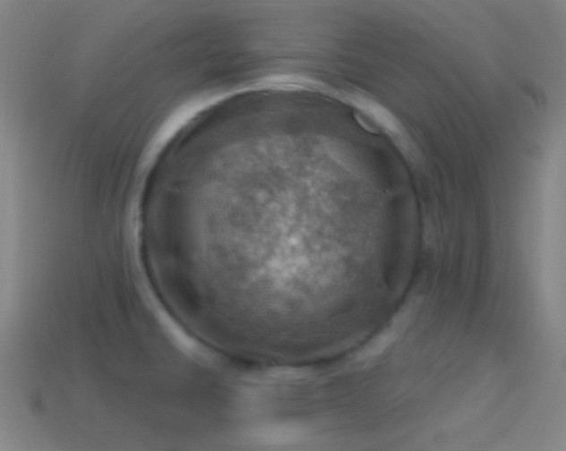 X0000114421430200910161218