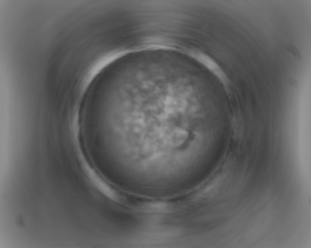 X0000114421431200910161218