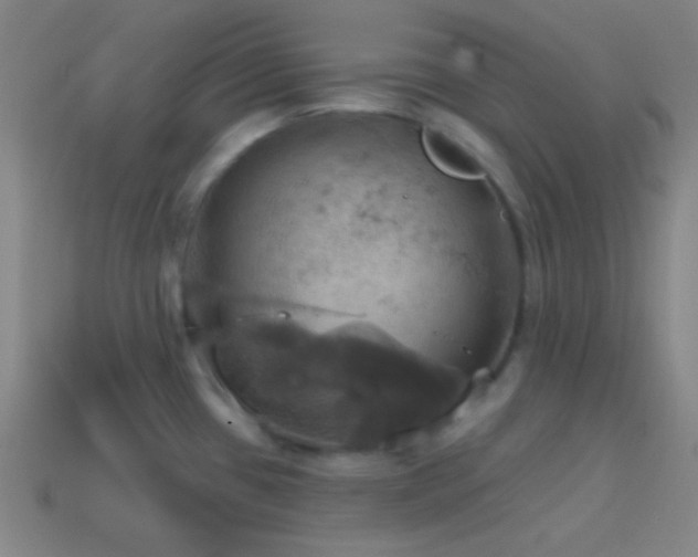X0000114421433200910161218