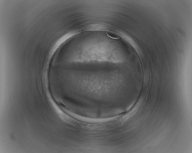 X0000114421434200910161218
