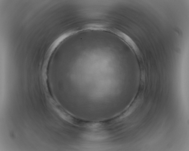X0000114421435200910161218