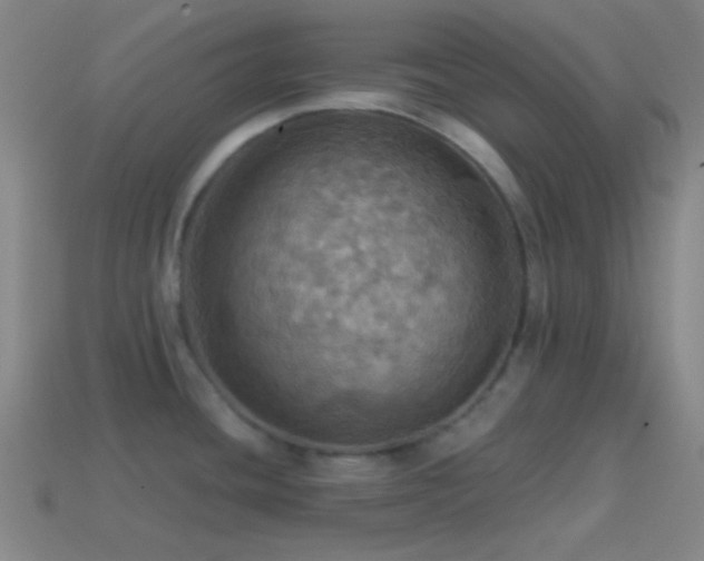 X0000114421436200910161219
