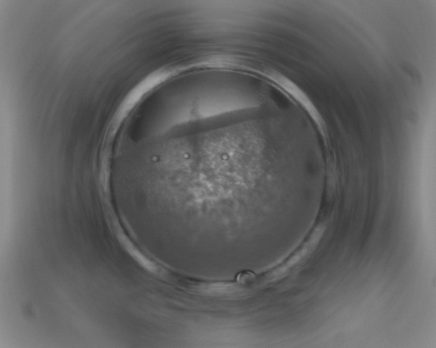X0000114421437200910161219