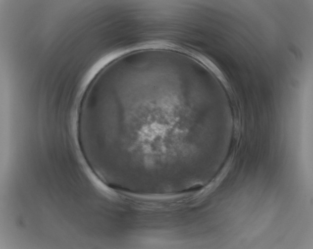 X0000114421438200910161219