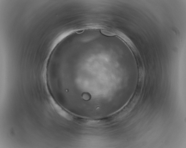 X0000114421439200910161219