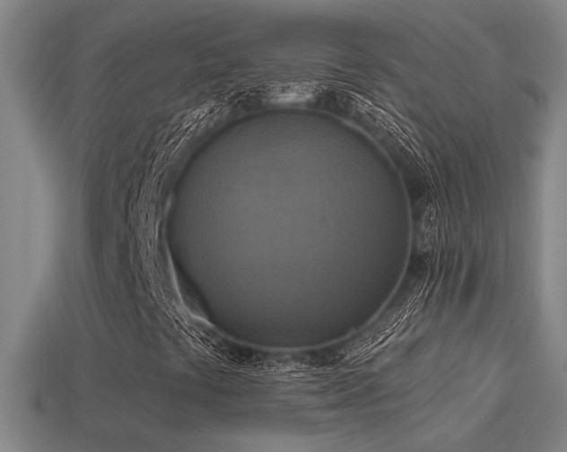 X0000114421441200910161218