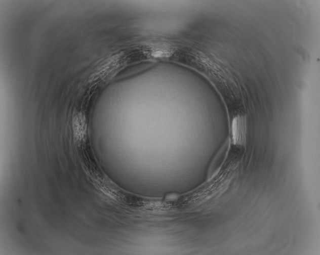 X0000114421443200910161218