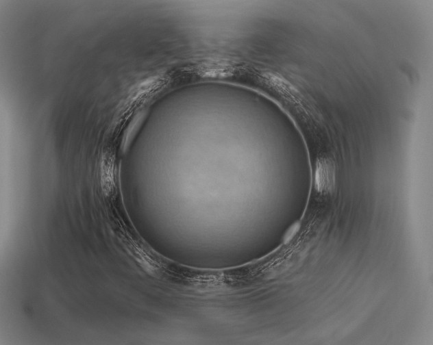 X0000114421444200910161218