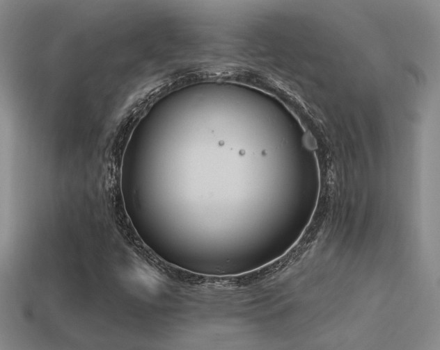 X0000114421447200910161218