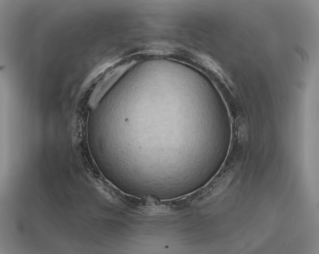 X0000114421448200910161218