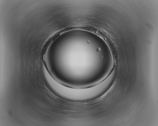 X0000114421449200910161218