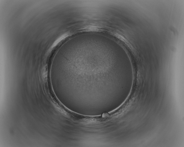 X0000114421450200910161218