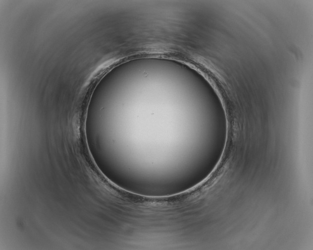 X0000114421451200910161218