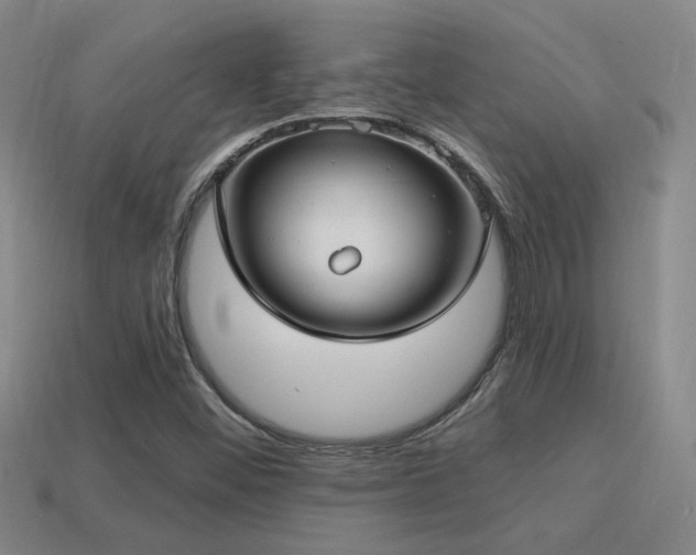 X0000114421452200910161218