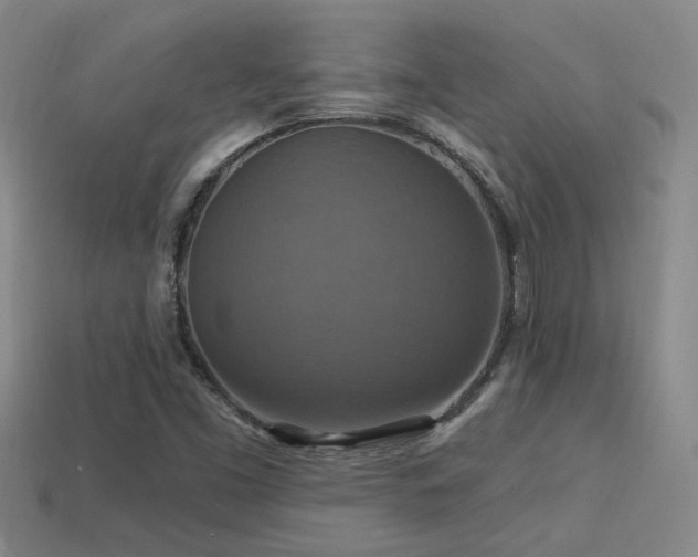 X0000114421453200910161218
