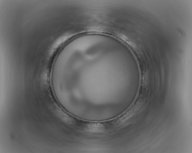 X0000114421454200910161218