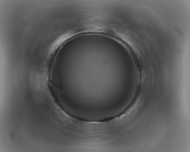 X0000114421455200910161218