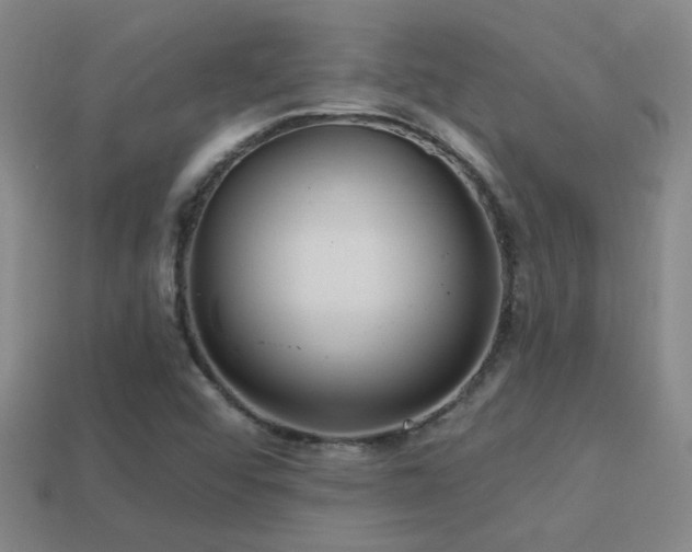 X0000114421456200910161218
