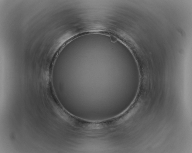X0000114421457200910161218