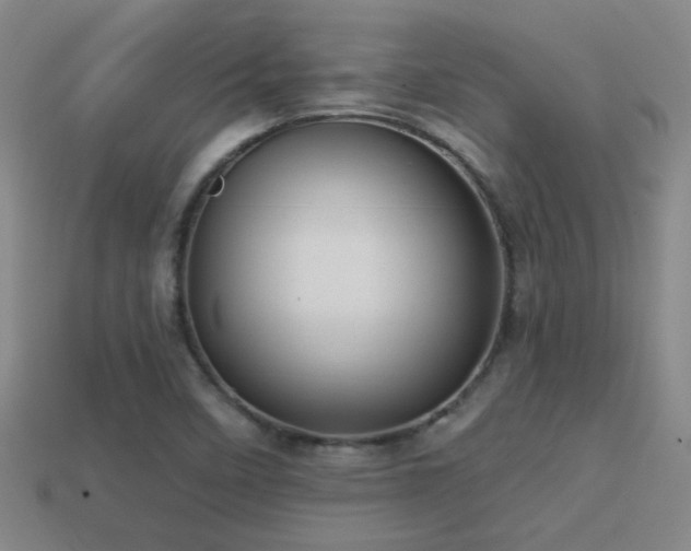X0000114421458200910161218