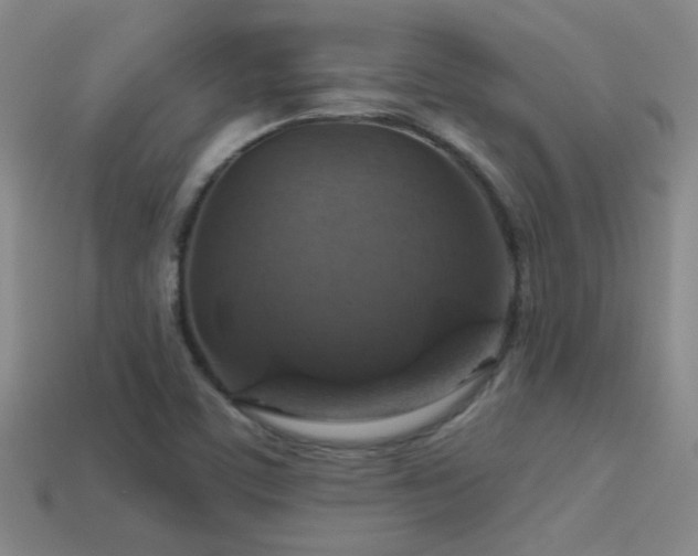 X0000114421459200910161218