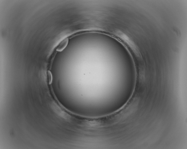 X0000114421460200910161218