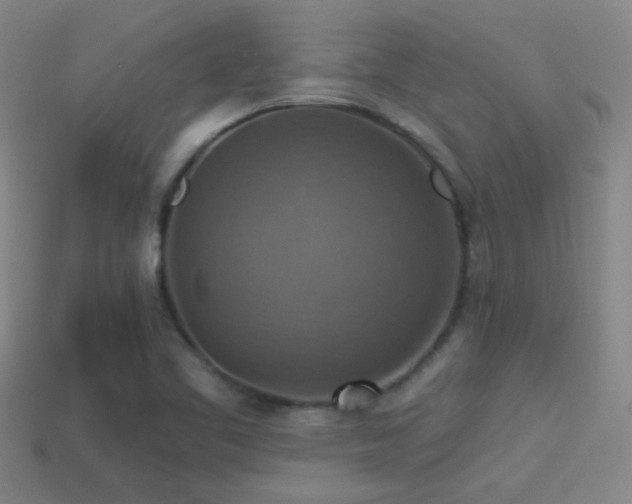 X0000114421461200910161217