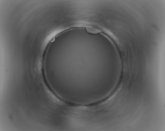 X0000114421463200910161217