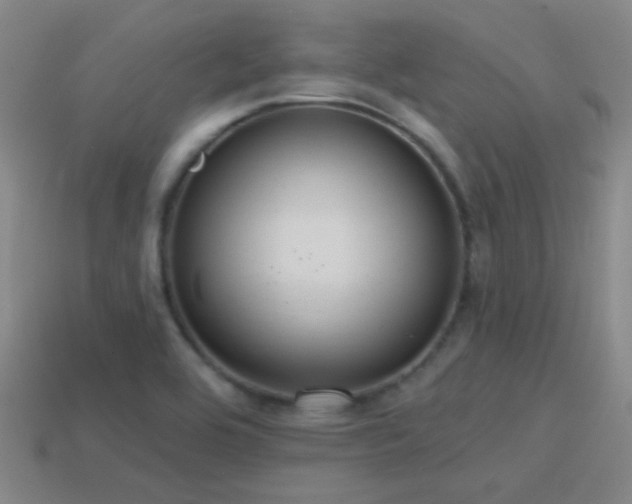 X0000114421464200910161217