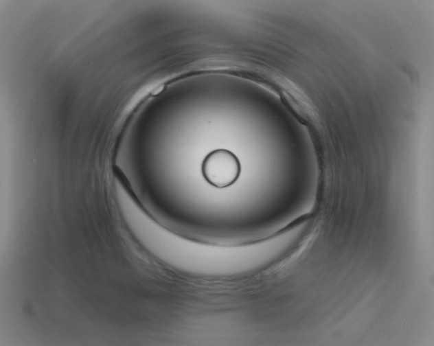 X0000114421465200910161217