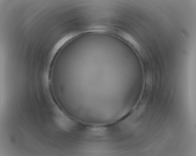 X0000114421466200910161217