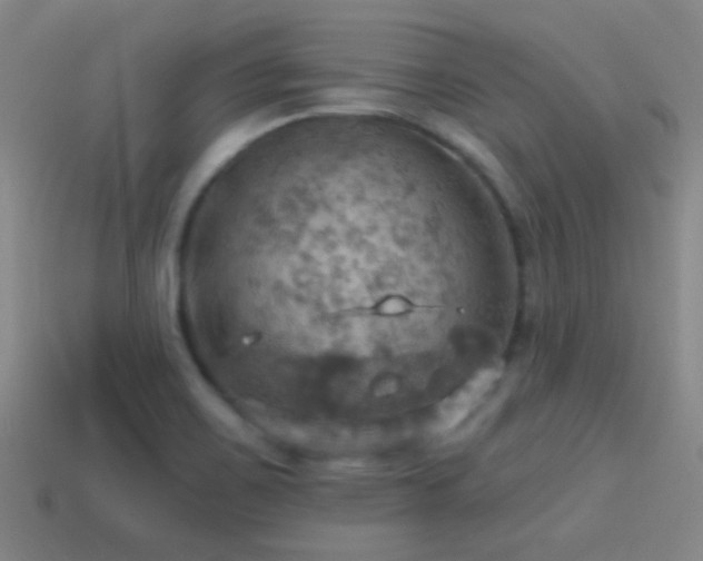 X0000114421467200910161217