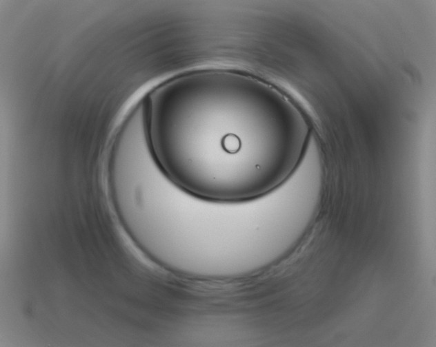 X0000114421468200910161217